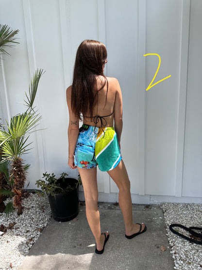 Recycled Dolphin Terry Short