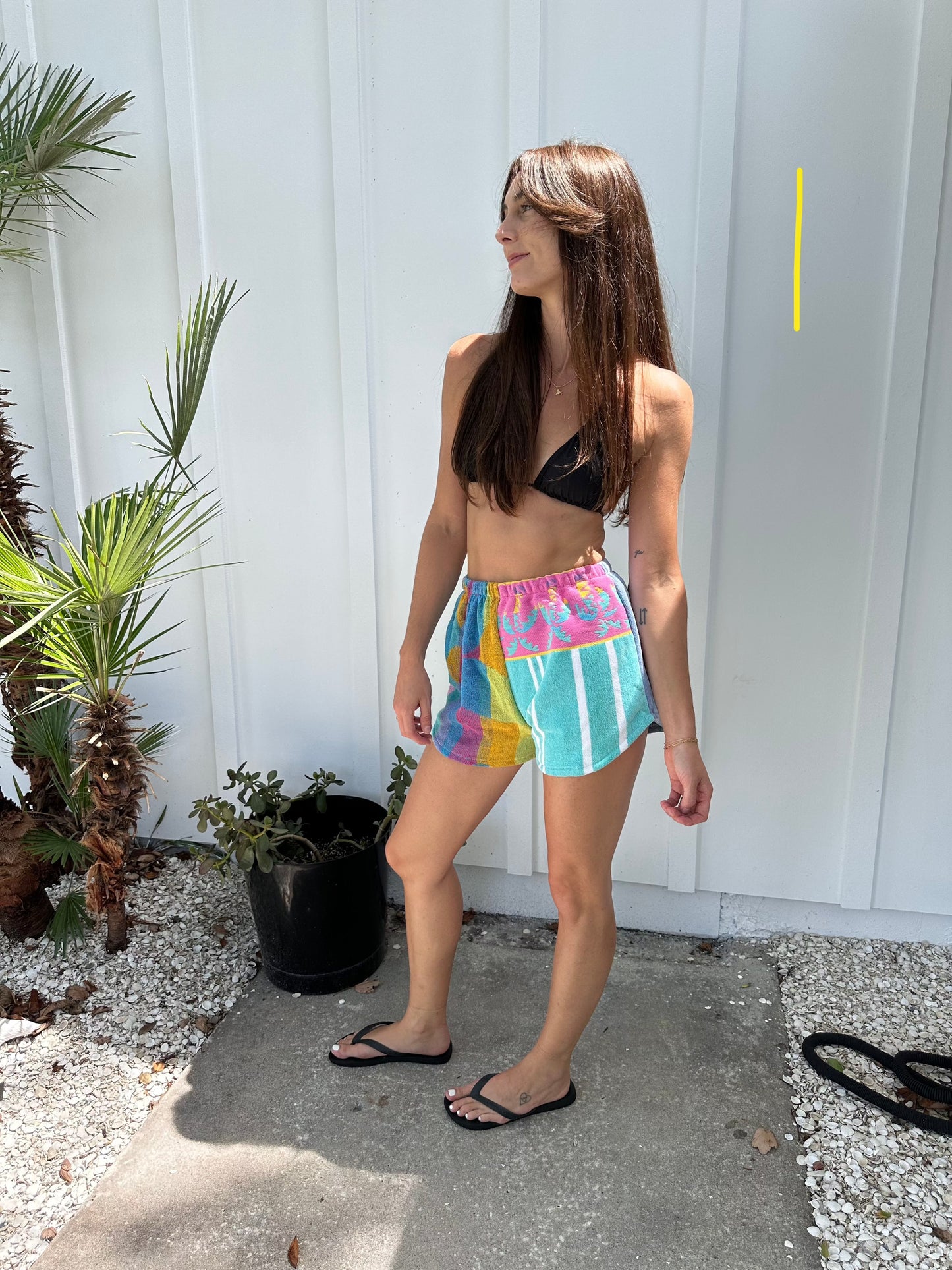 Recycled Dolphin Terry Short